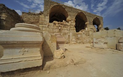 Healing the Wounds of Violence