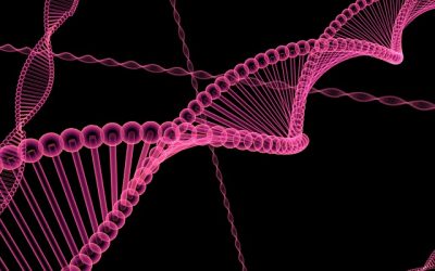 3rd of 5–Heal Your Genetic Traits: Healthy Foods, Healthy Body