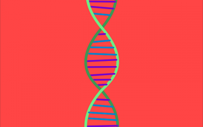 1st of 5 – Heal Your Genetic Traits: Clean Air and Water