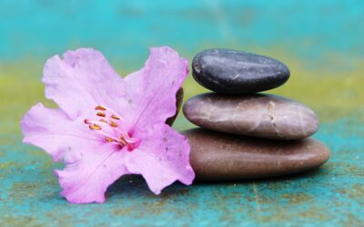 Welcome Spring Equinox